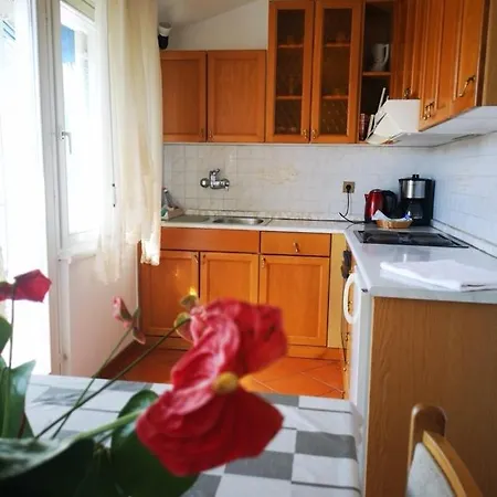 Aurora Guest house *
