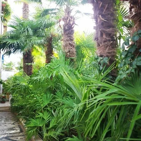 Guest house Aurora Porec